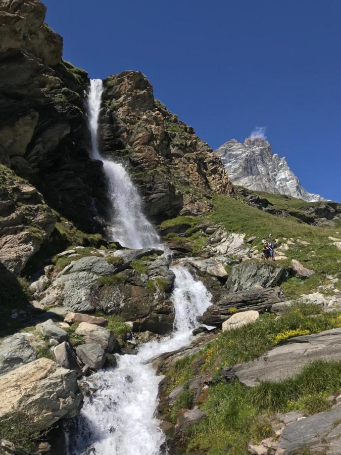 Chat Des Neiges - Cervinia 브루일서비니아 외부 사진